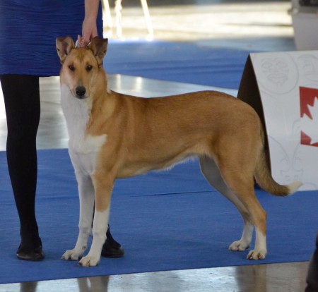 Mighty´s Spring Meadow Mai Mair